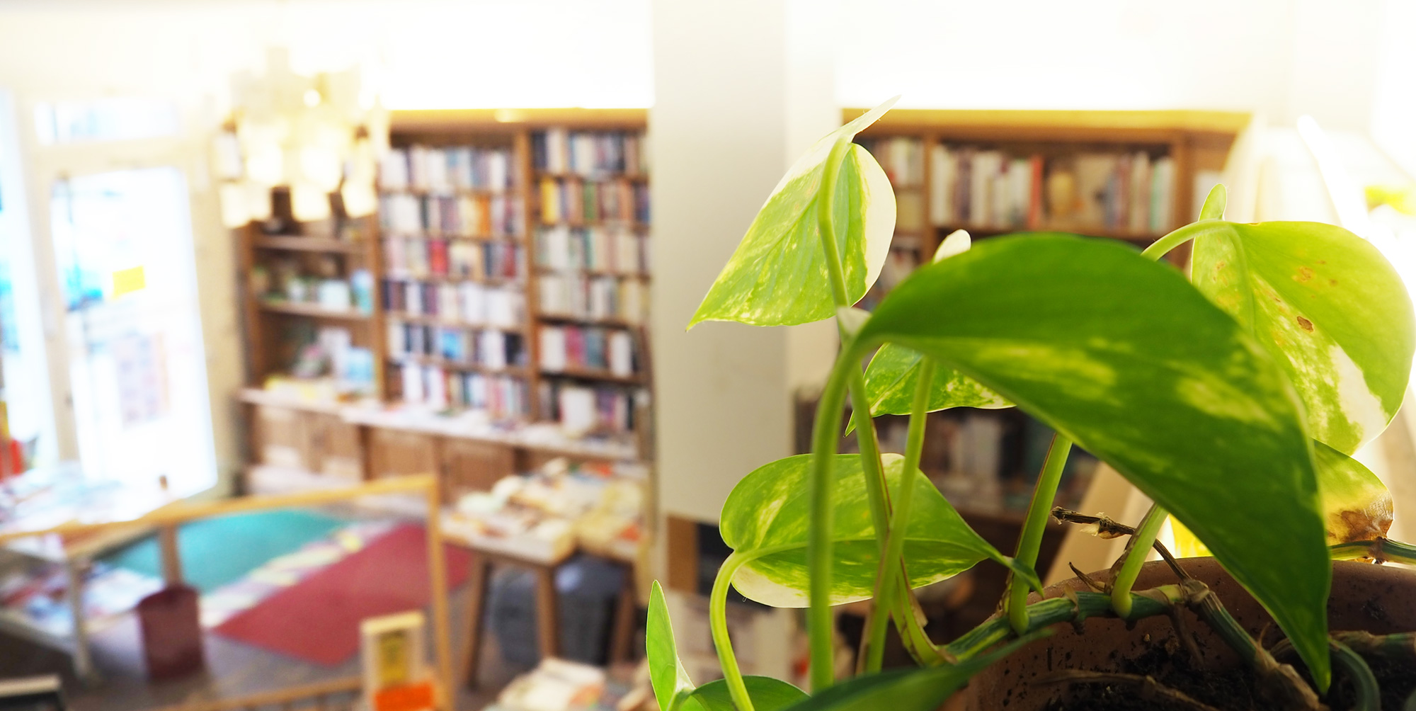 Die Buchhandlung am Nordbad – Lesefreude für Lesefreunde
